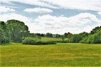 Queen Mary's Park View